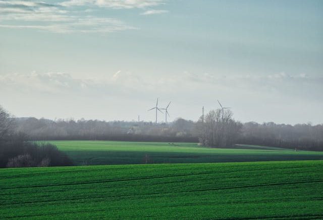 Environmental & Sustainability Studies