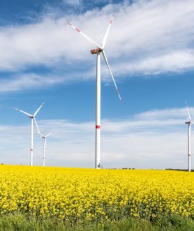 pexels-wolfgang-weiser-467045605-31140640